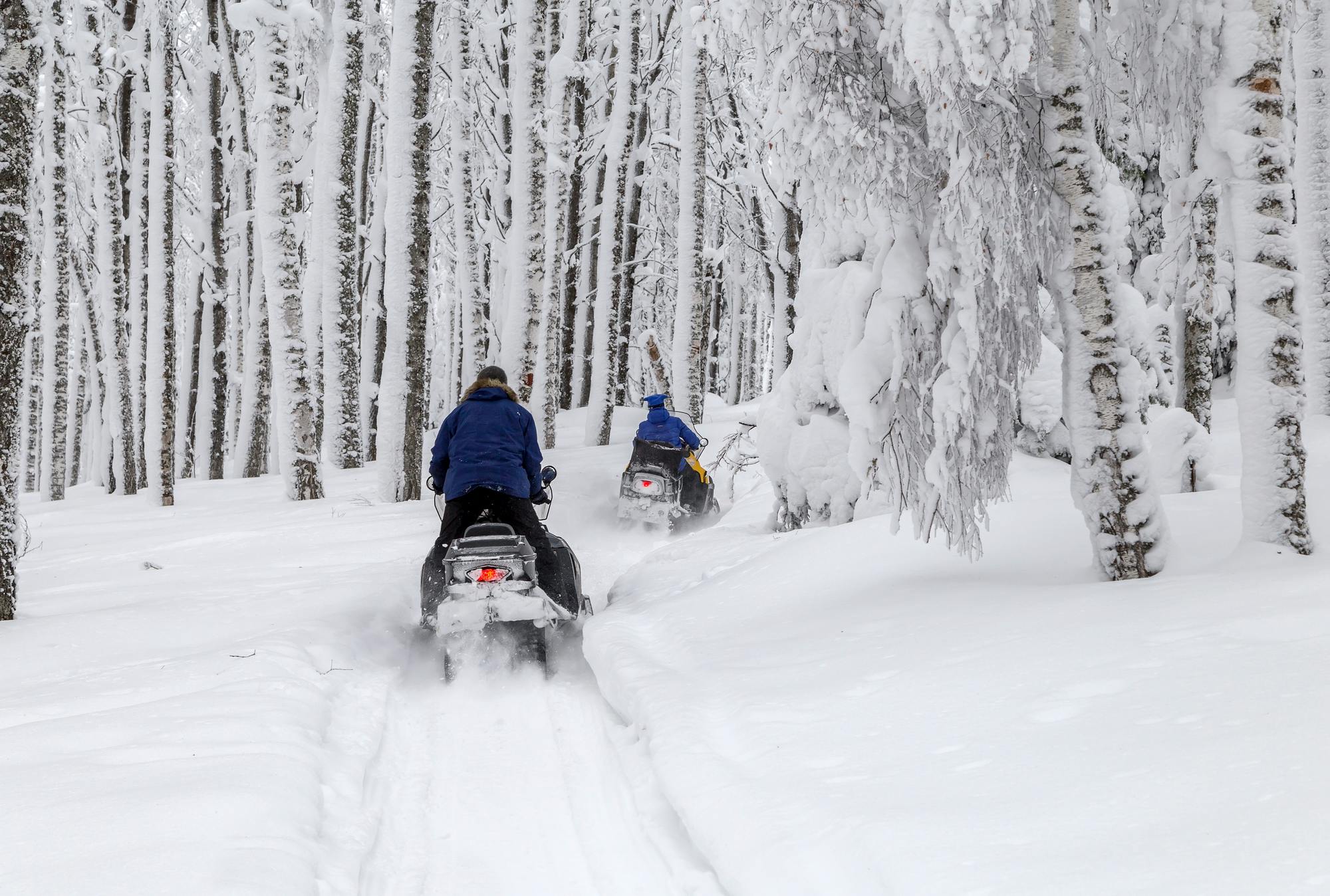 Δύο άνθρωποι οδηγούν οχήματα χιονιού μέσα σε ένα χιονισμένο δάσος, που περιβάλλεται από δέντρα καλυμμένα από βαρύ χιόνι.