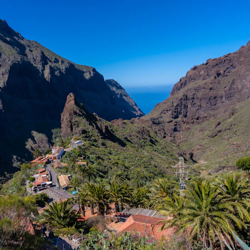 Tenerife: Island Tour with Masca - Photo 4