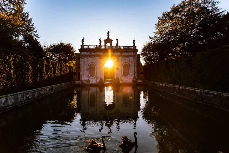 Two black swans swim in a reflective pool in front of a historic building at sunset, with statues silhouetted on the roof.