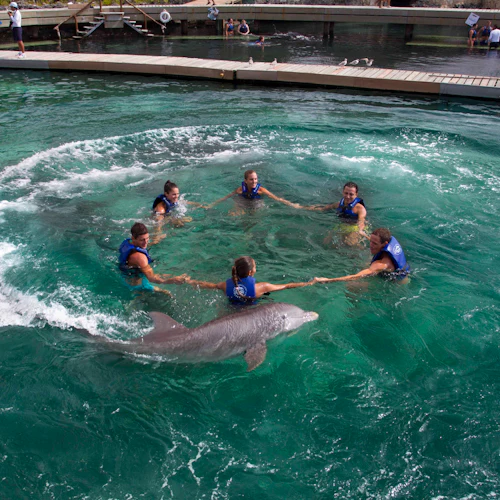 Delfinario Xcaret: Nada con delfines - Photo 2