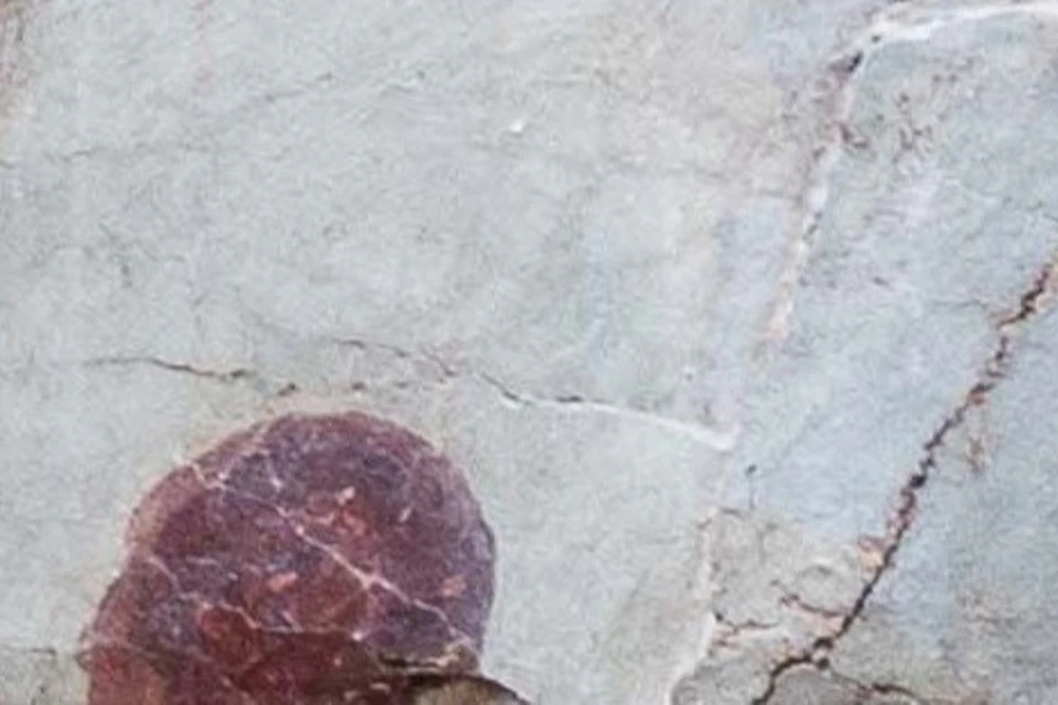 Fresco