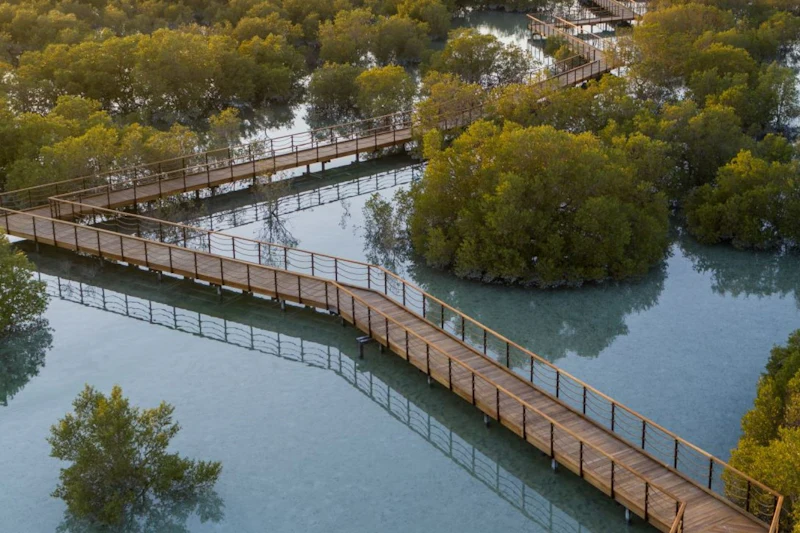 Parc De La Mangrove De Jubail Visite De La Promenade R servez En Ligne parc-de-la-mangrove-de-jubail-visite-de-la-promenade-r-servez-en-ligne