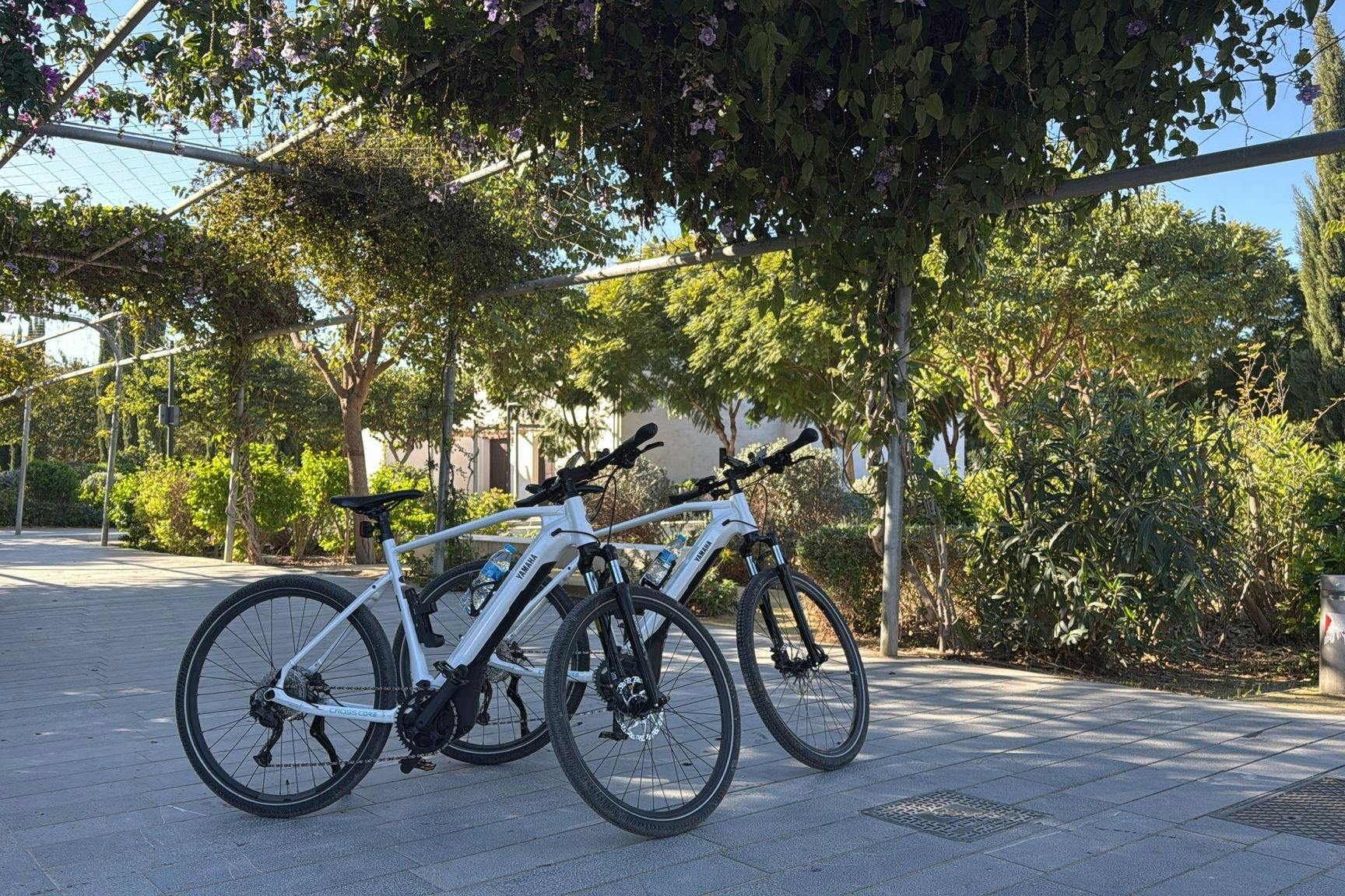 Ανακαλύψτε τη Βαλένθια με ένα ηλεκτρονικό ποδήλατο Yamaha. Αυτά τα ποδήλατα είναι ιδανικά για μεγάλες διαδρομές χάρη στην υψηλή αυτονομία των 120 χιλιομέτρων.