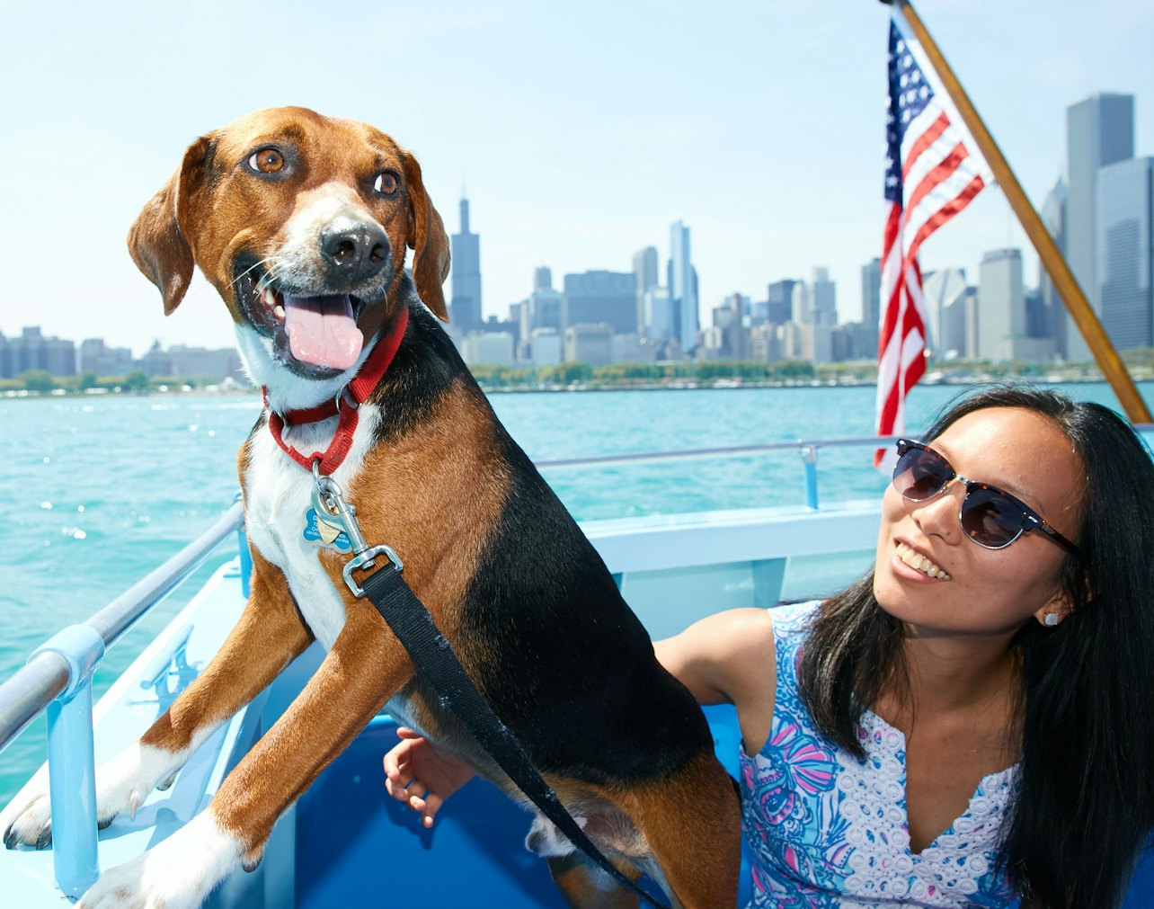 Chicago: Crucero Canino - Alojamientos en Chicago