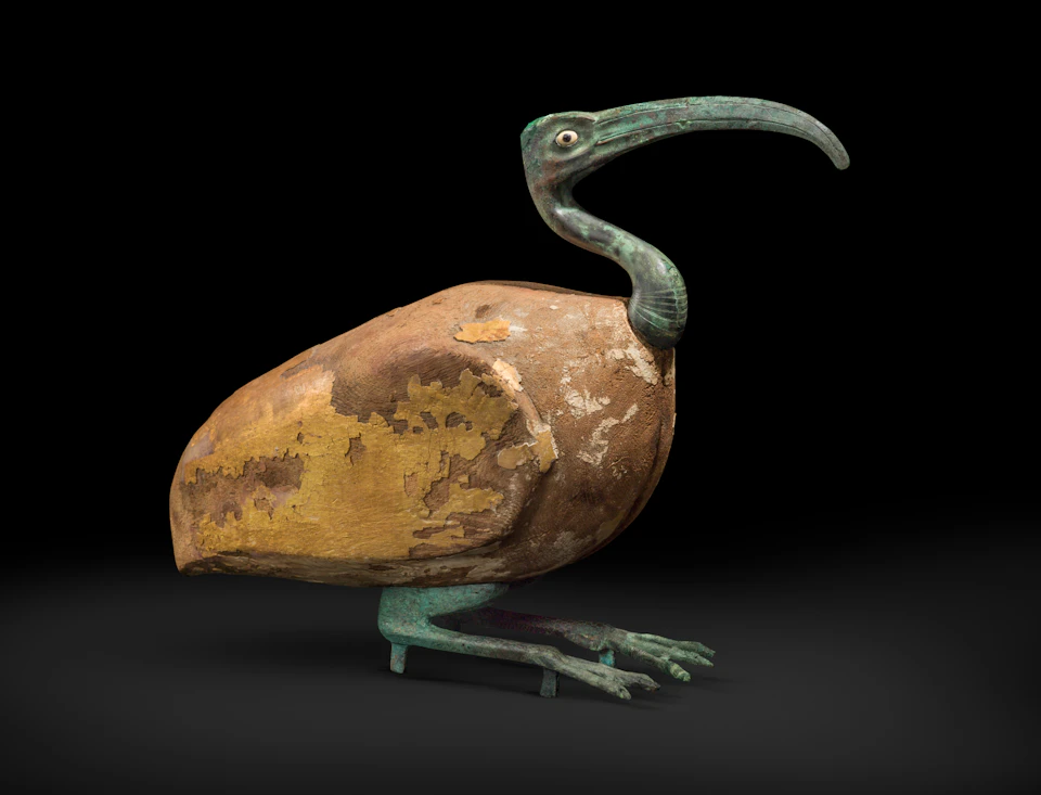 A bronze and wood statue of an ibis bird with a long, curved beak, weathered texture, and standing on webbed feet against a black background.