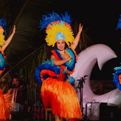 Hawaii Dance Shows