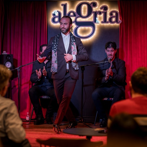Alegría Málaga: Espectáculo Flamenco