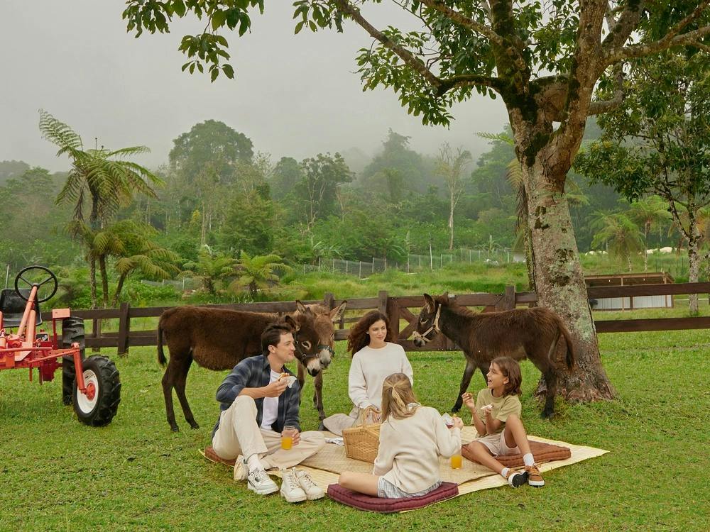 A family enjoys a picnic on a grassy field with donkeys nearby, surrounded by trees and a misty forest in the background.