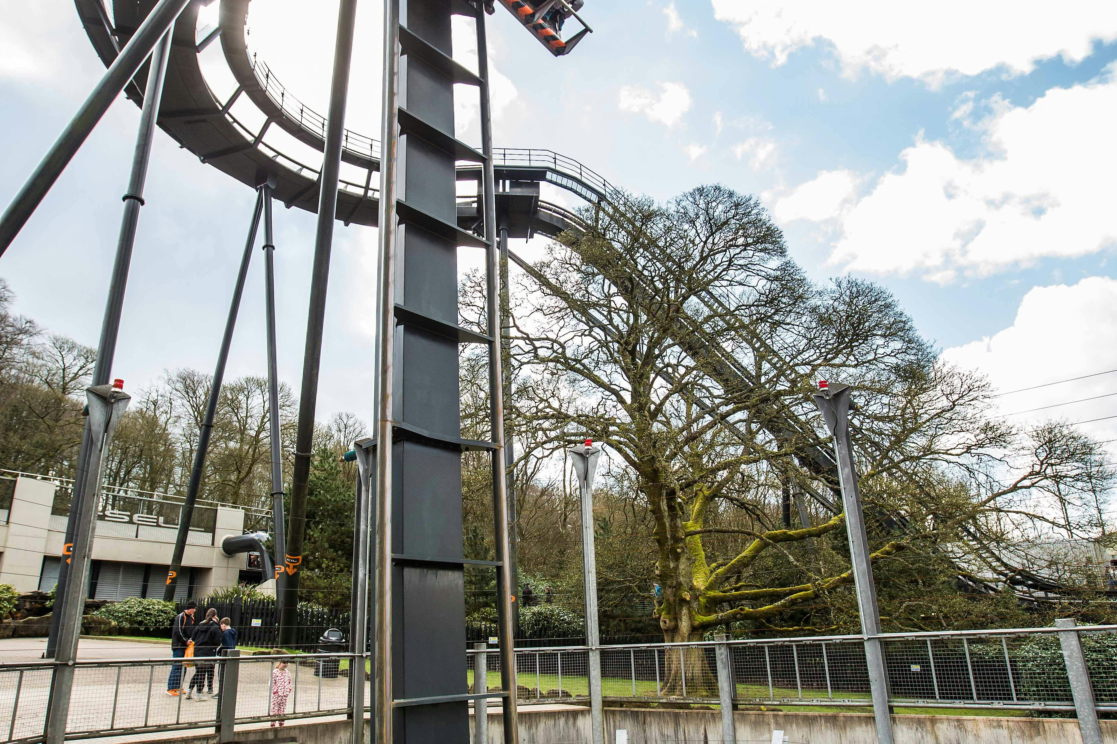 Alton Towers Resort: Entry Ticket 2