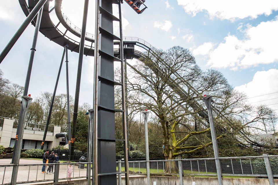 View of a roller coaster loop and support structure surrounded by trees, with a fenced area in the foreground.