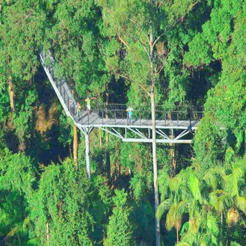 Tamborine Rainforest Skywalk: bilhete de entrada - Photo 3