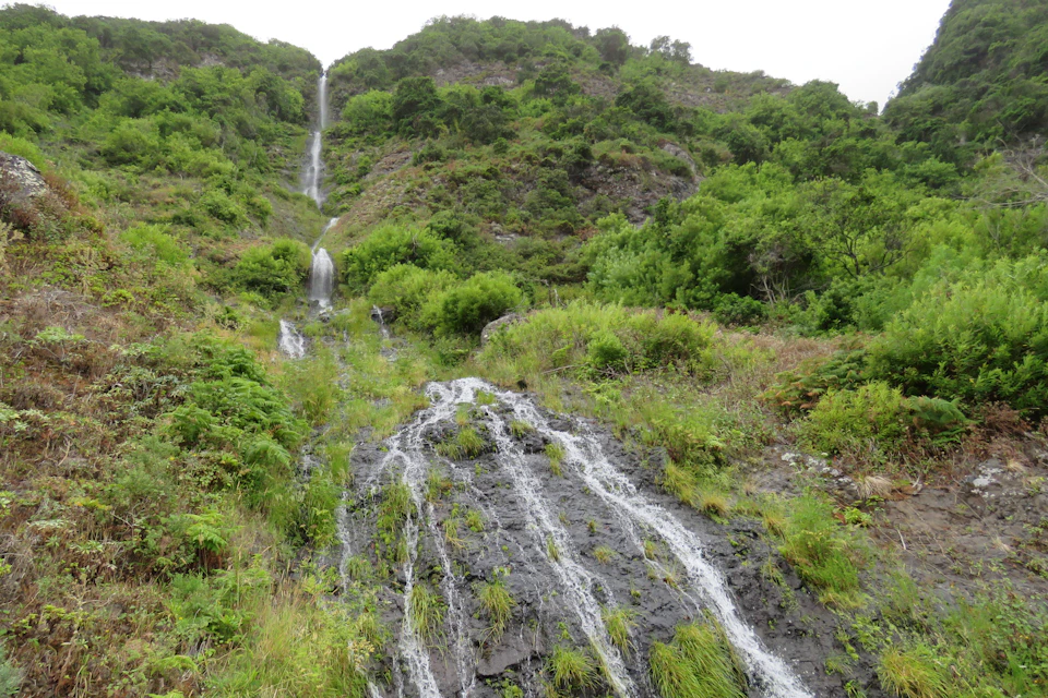 Water cascades down a rocky hillside, surrounded by lush greenery and vegetation.