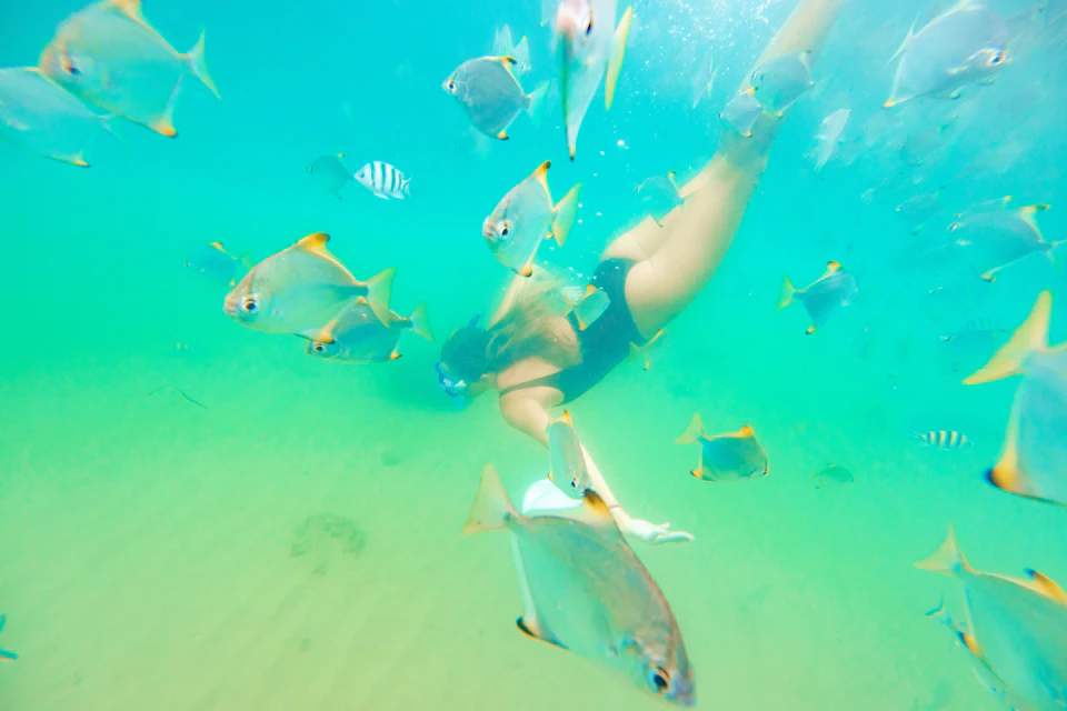 Swimming with the fish