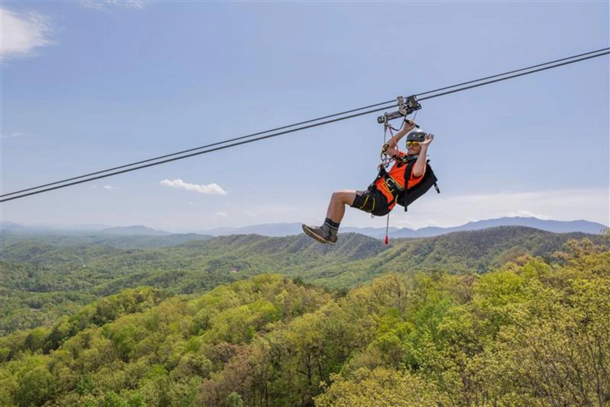 WildSide Adventure Park: Entry + MegaZip Experience