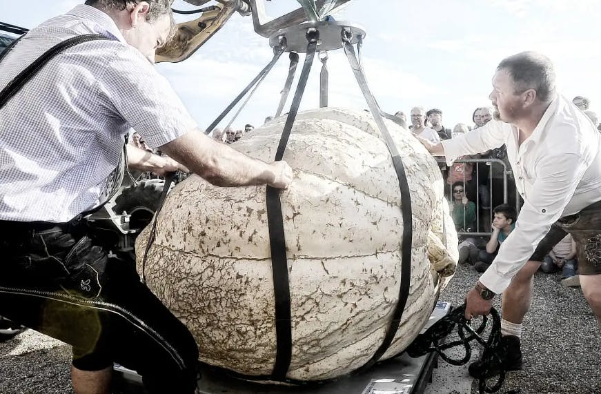 Castelo de Groot-Bijgaarden: Pumpkimania 2025 - Photo 8