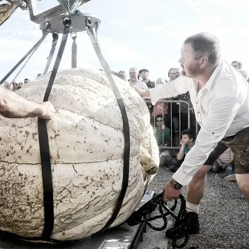 Castelo de Groot-Bijgaarden: Pumpkimania 2025 - Photo 8
