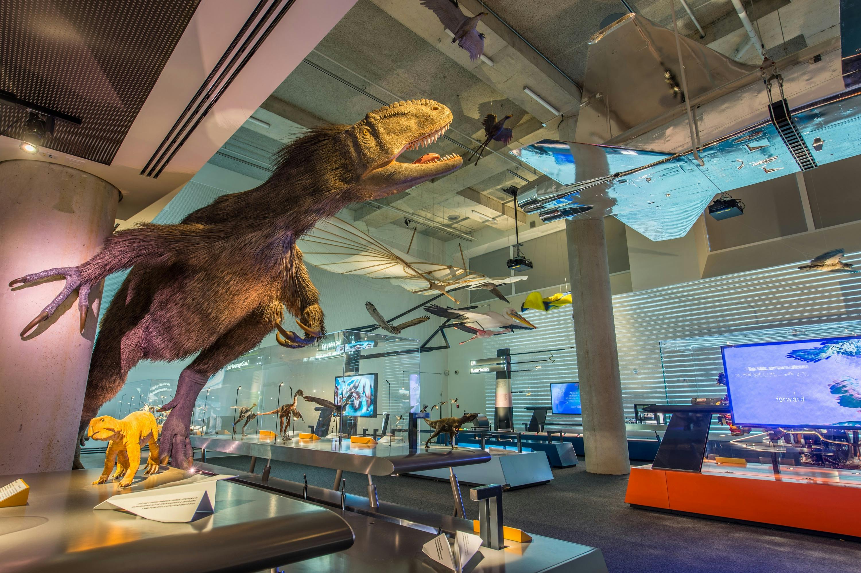 Exposition muséale présentant un modèle de dinosaure reconstitué et des avions suspendus dans un espace d'exposition moderne et bien éclairé.