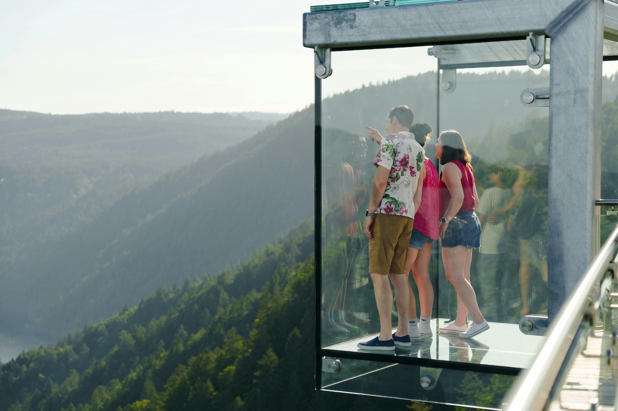 Ilha de Vancouver: Ingresso para o Malahat SkyWalk - Photo 14