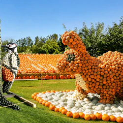 Groot-Bijgaarden Castle: Pumpkimania 2026 2
