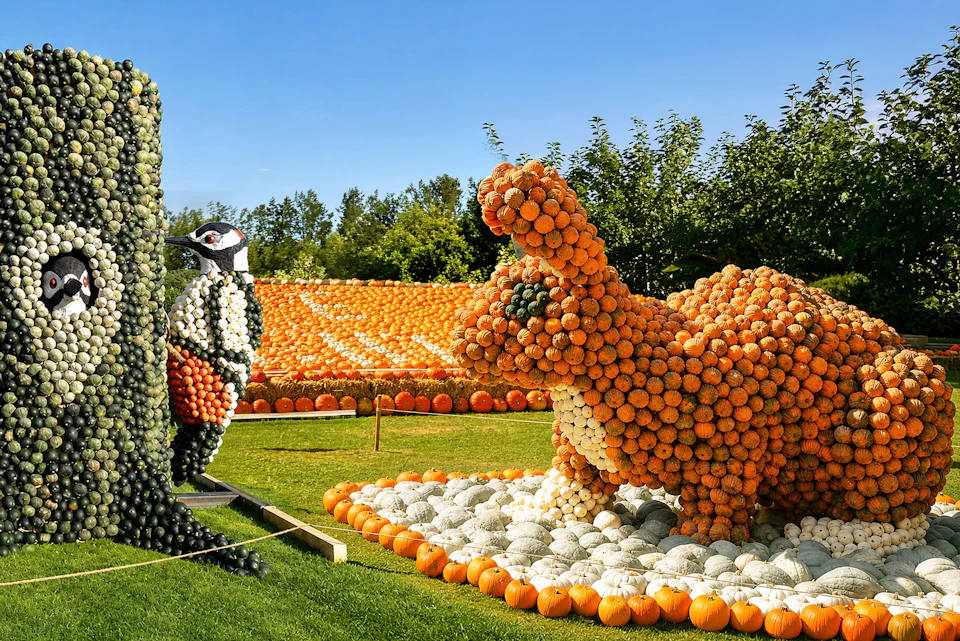 A sculpture of a rabbit and a bird made from pumpkins and gourds on grass with trees and a clear blue sky in the background.