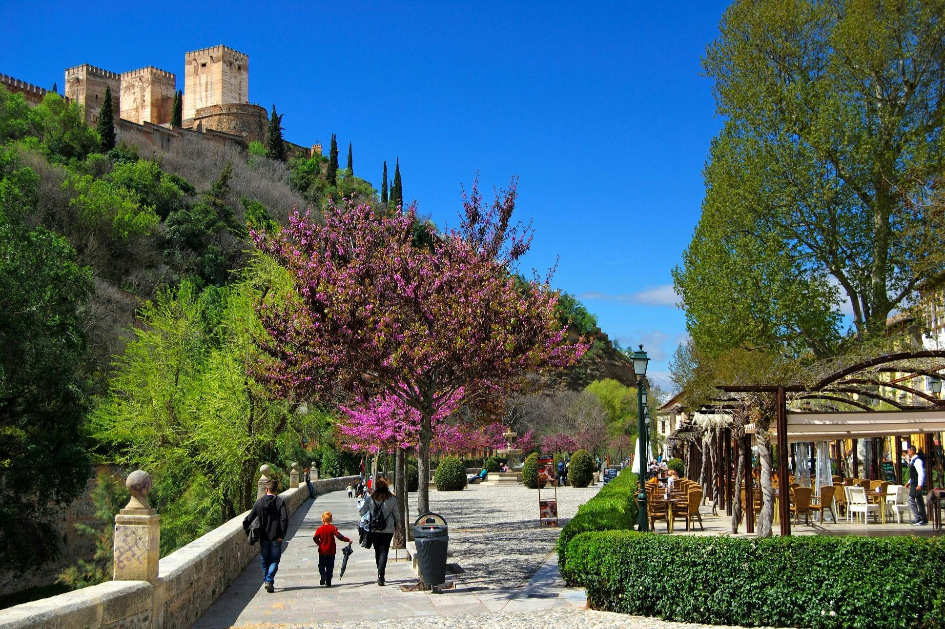 Granada Cathedral, Royal Chapel, Albaicín & Sacromonte: Guided Tour - Photo 7