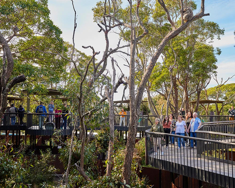 Zoológico de Taronga Sydney: bilhete de entrada + Balsa de retorno