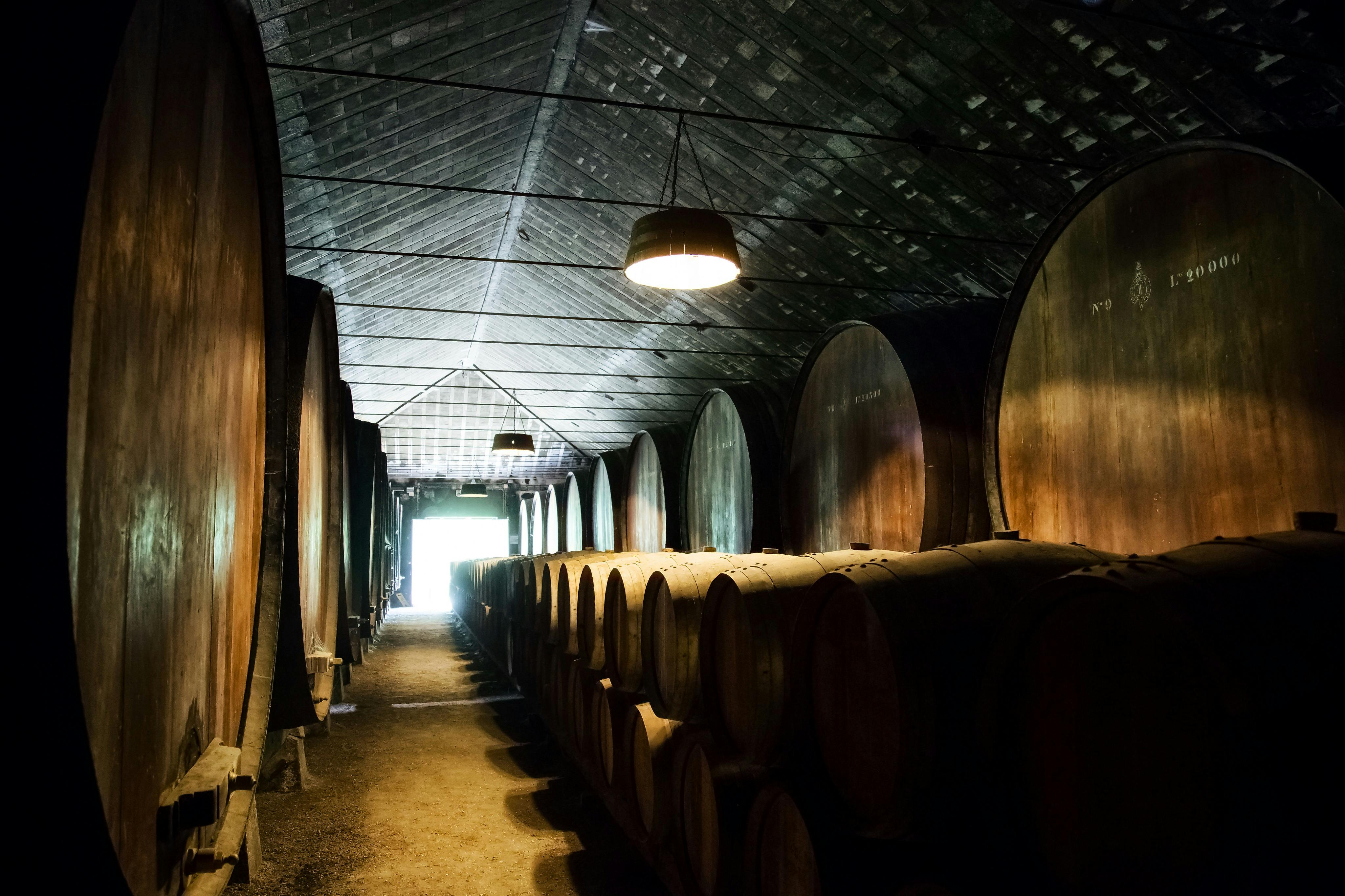 ポートワインセラー