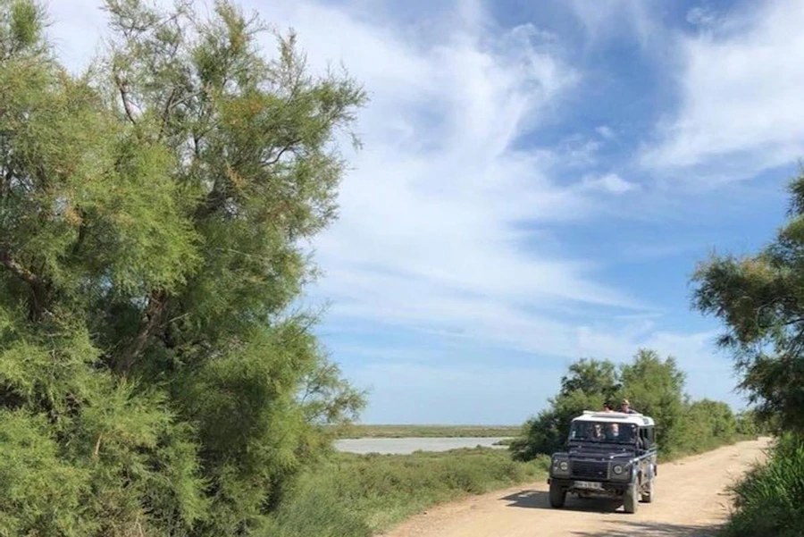 阿爾勒卡馬爾格區域自然公園吉普車之旅