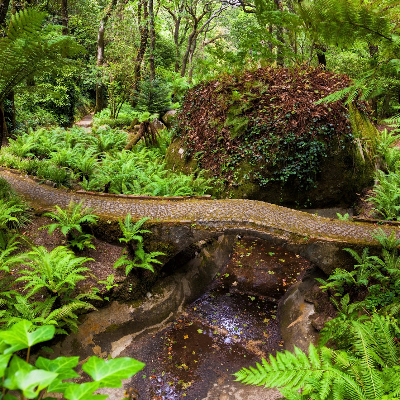 Pena Park in Sintra: Entry Ticket in Sintra β Tiqets