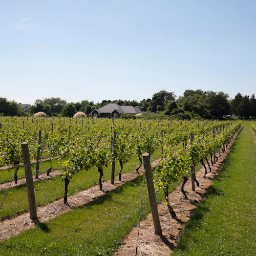 Os Hamptons, Sag Harbor e compras em outlets da cidade de Nova York - Photo 3
