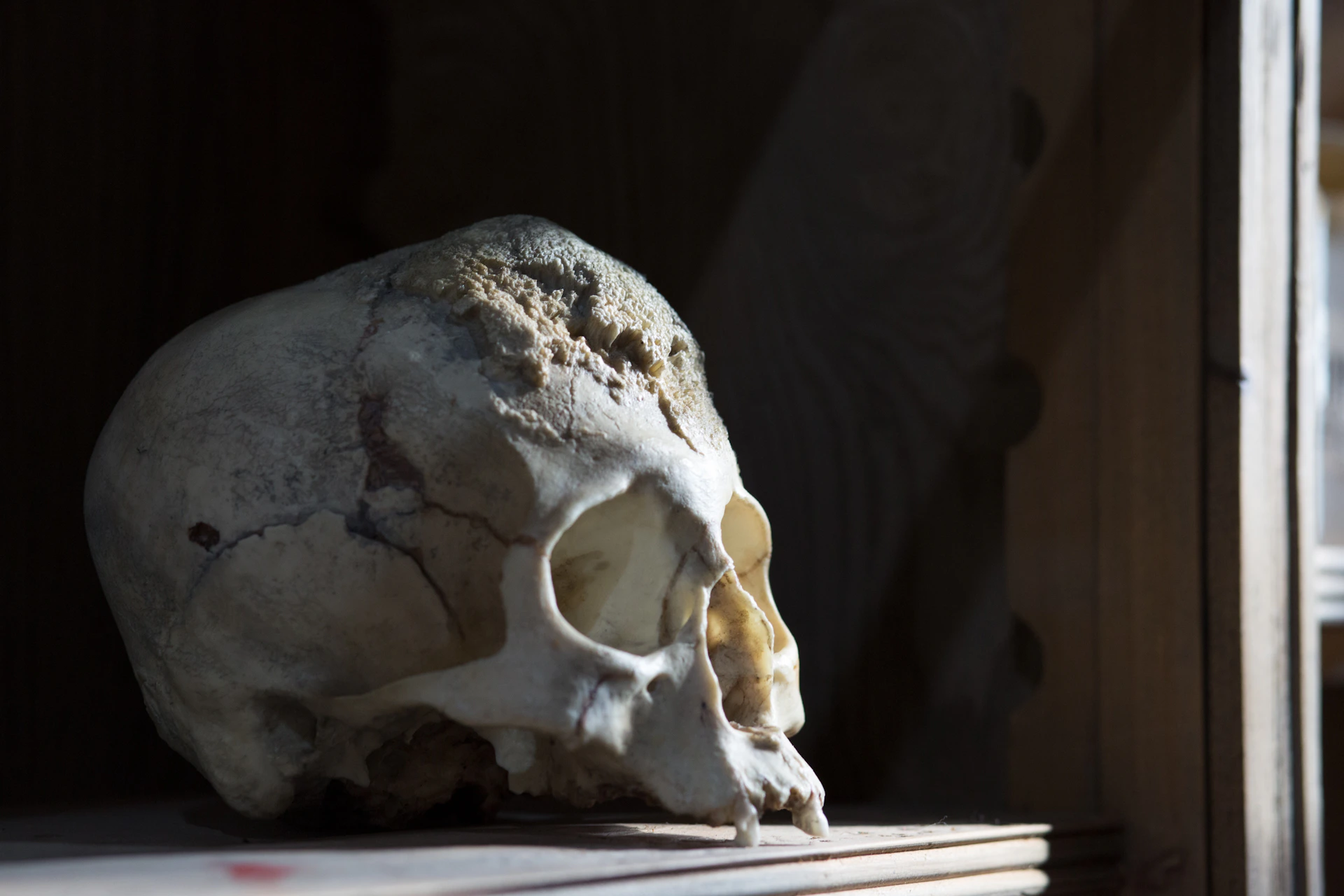 A human skull rests on a surface in a dimly lit space, highlighting its cracks and texture.