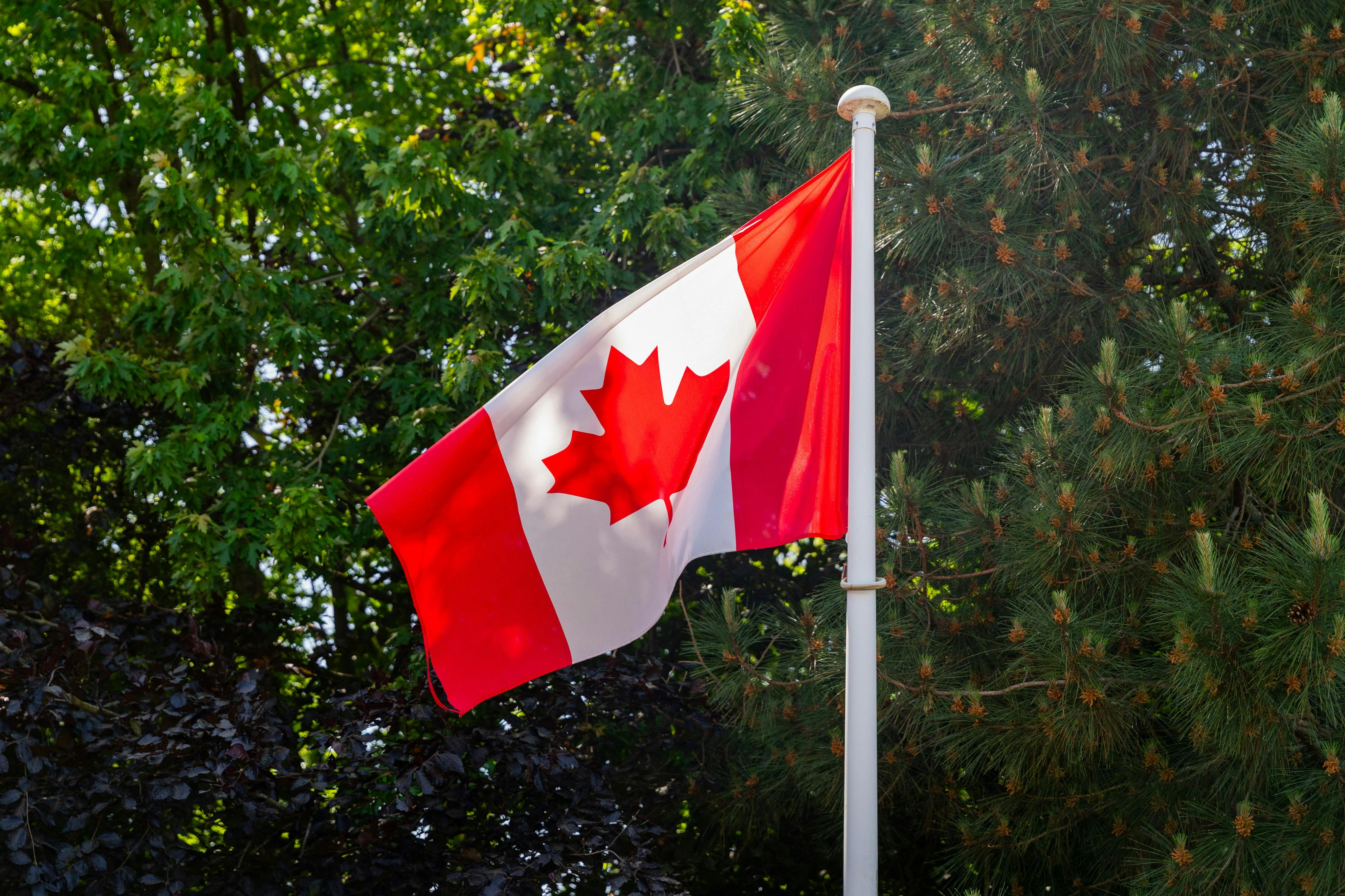 The Canadian flag flying on a pole against a backdrop of greenery and trees.