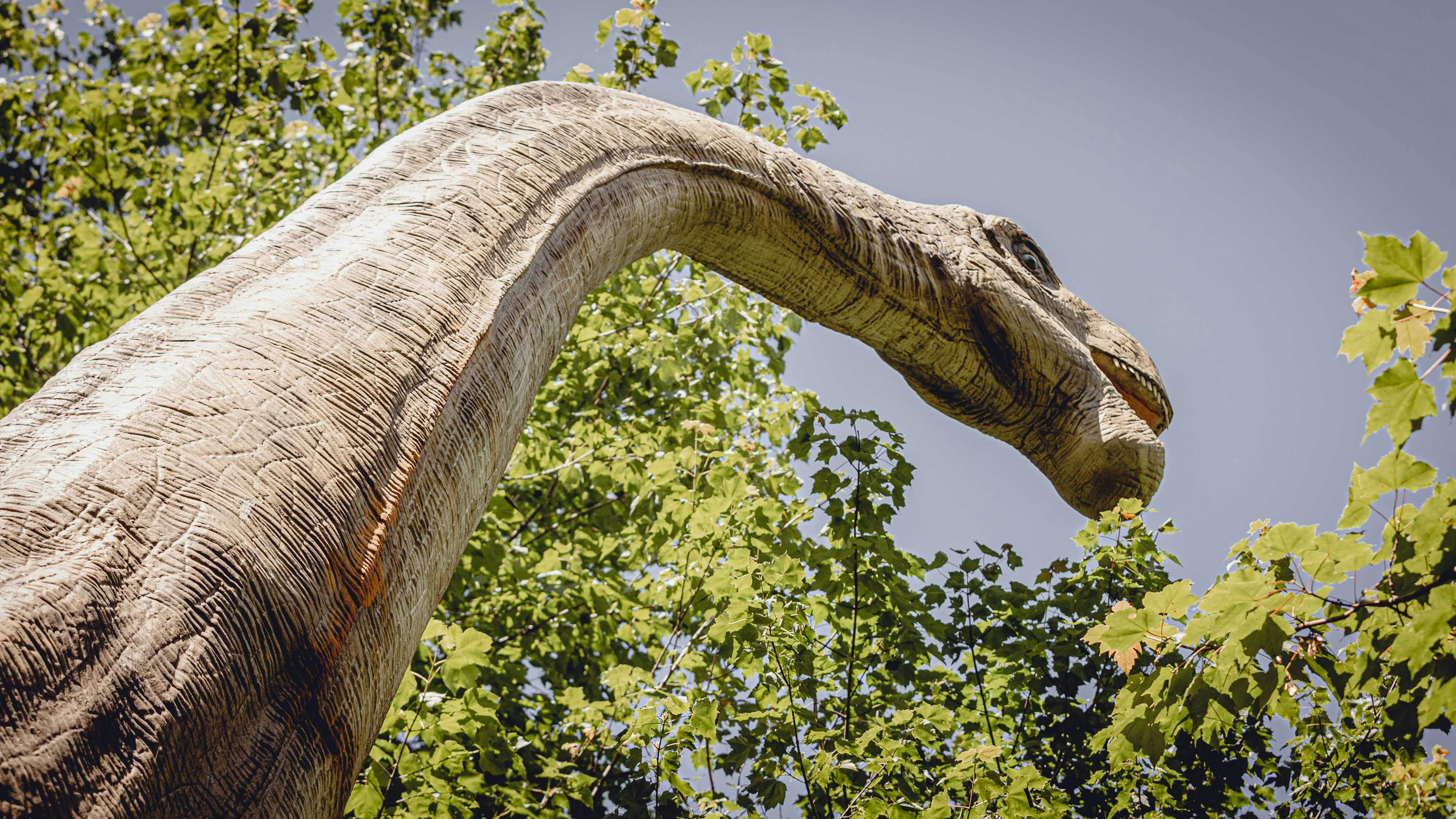 Detailní záběr hlavy a krku velké sochy dinosaura obklopeného zeleným listím pod jasnou oblohou.