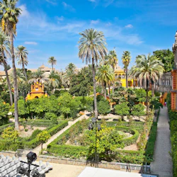 Royal Alcázar of Seville: Skip The Line Ticket + Guided Tour 4