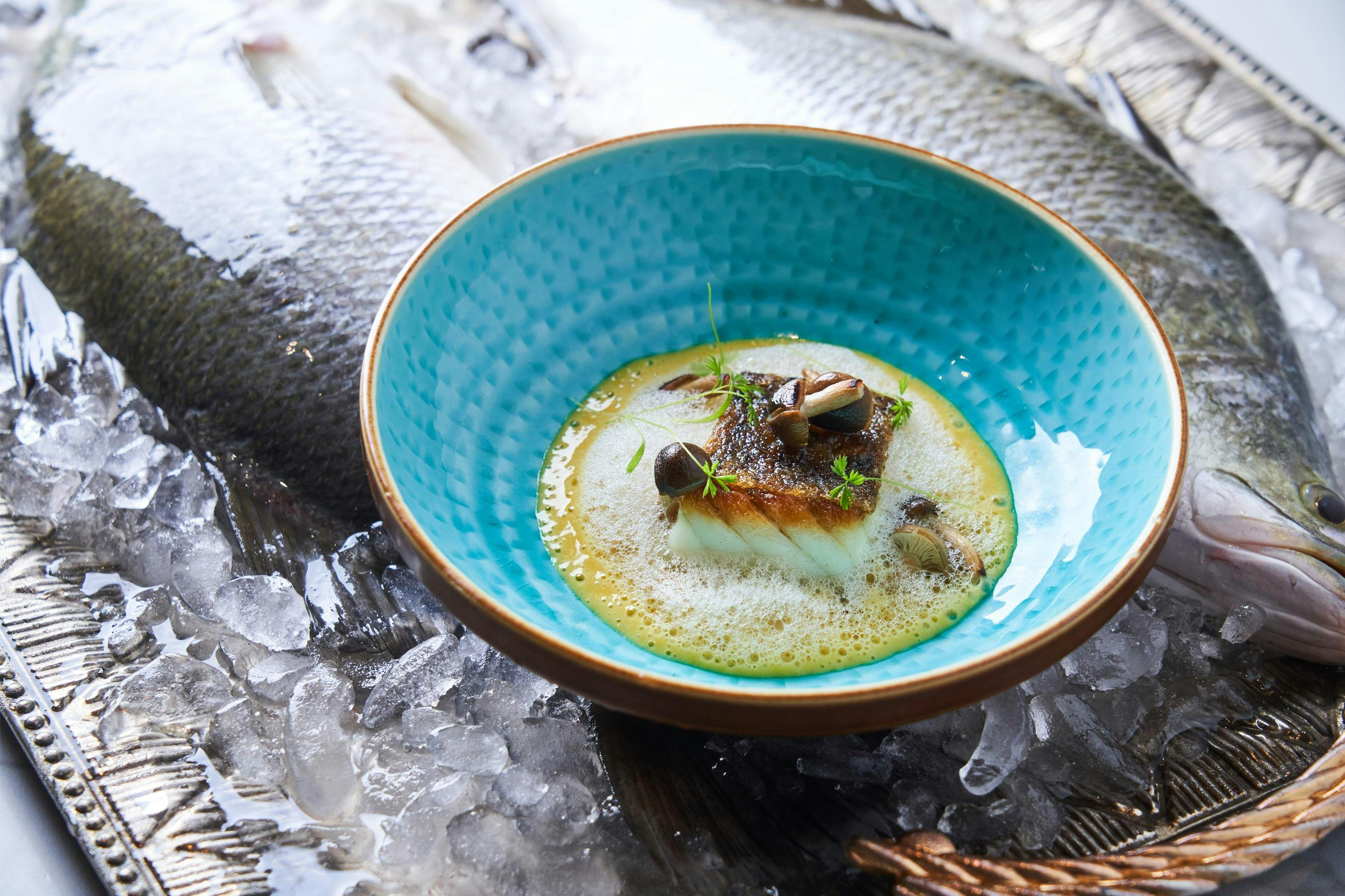 A blue bowl holding a dish of cooked fish garnished with mushrooms and herbs, placed on ice alongside raw fish.