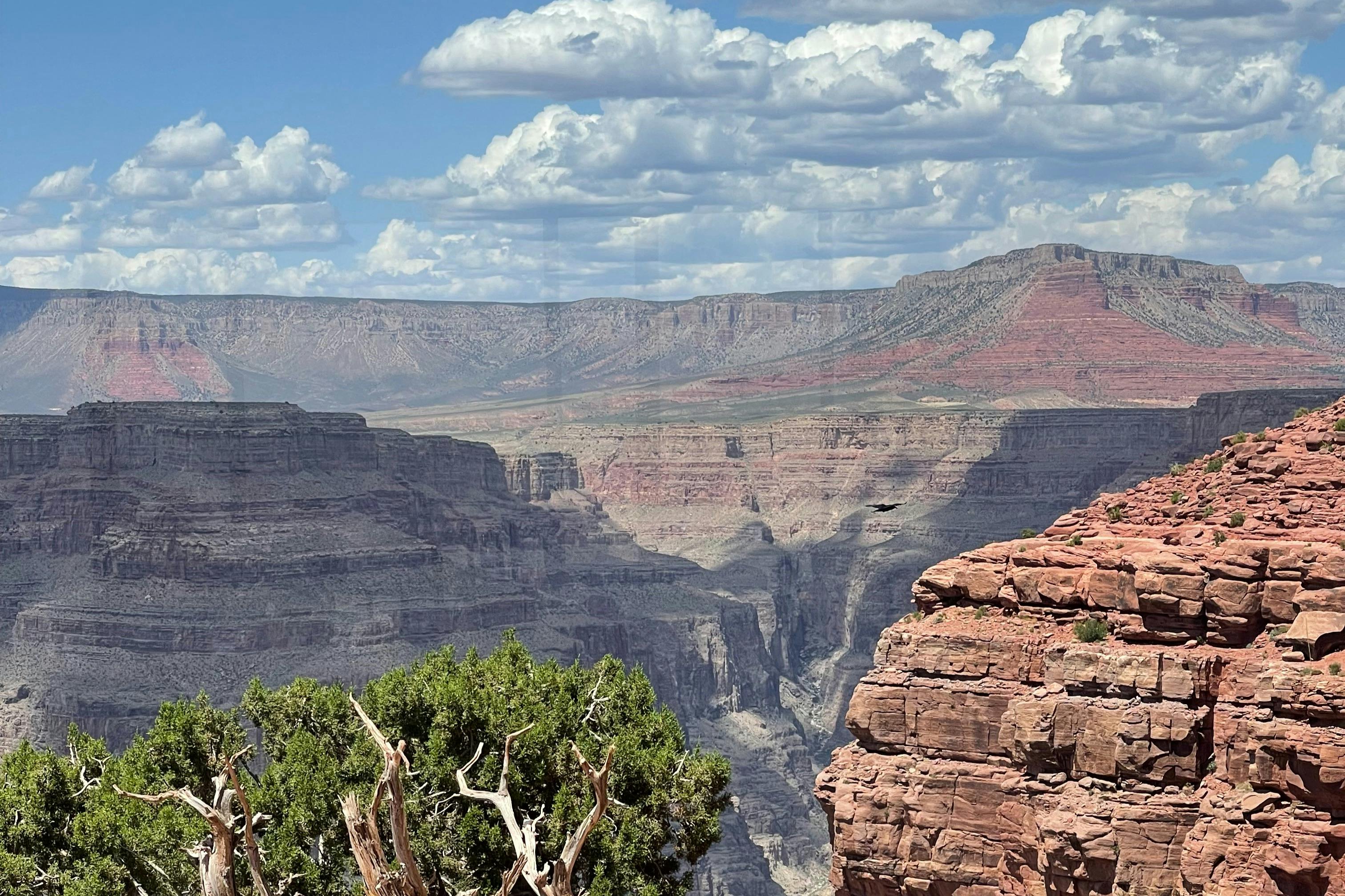 그랜드캐니언웨스트림