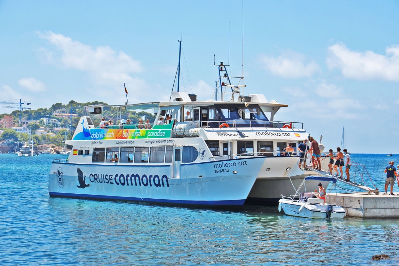 Santa Ponsa: 2-Hr Glass-Bottom Boat Dolphin-Watching