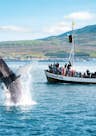 Balena megattera che fa breccia vicino a Húsavík