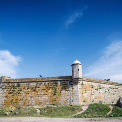 Porto: Full Day City Tour by Bus with Wine Cellar and Cruise 5