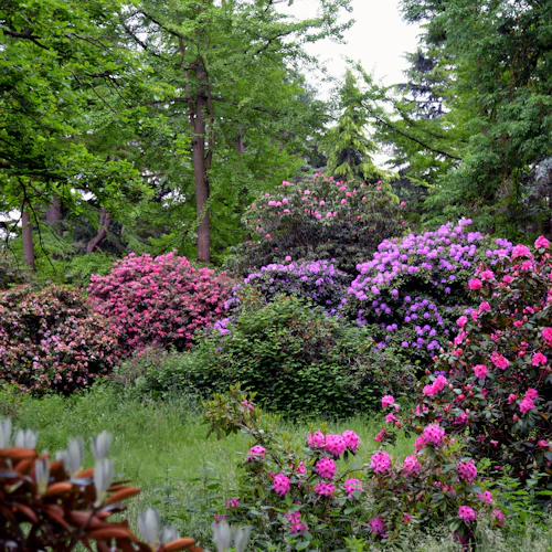 Arboretum de Chèvreloup: Entry Ticket