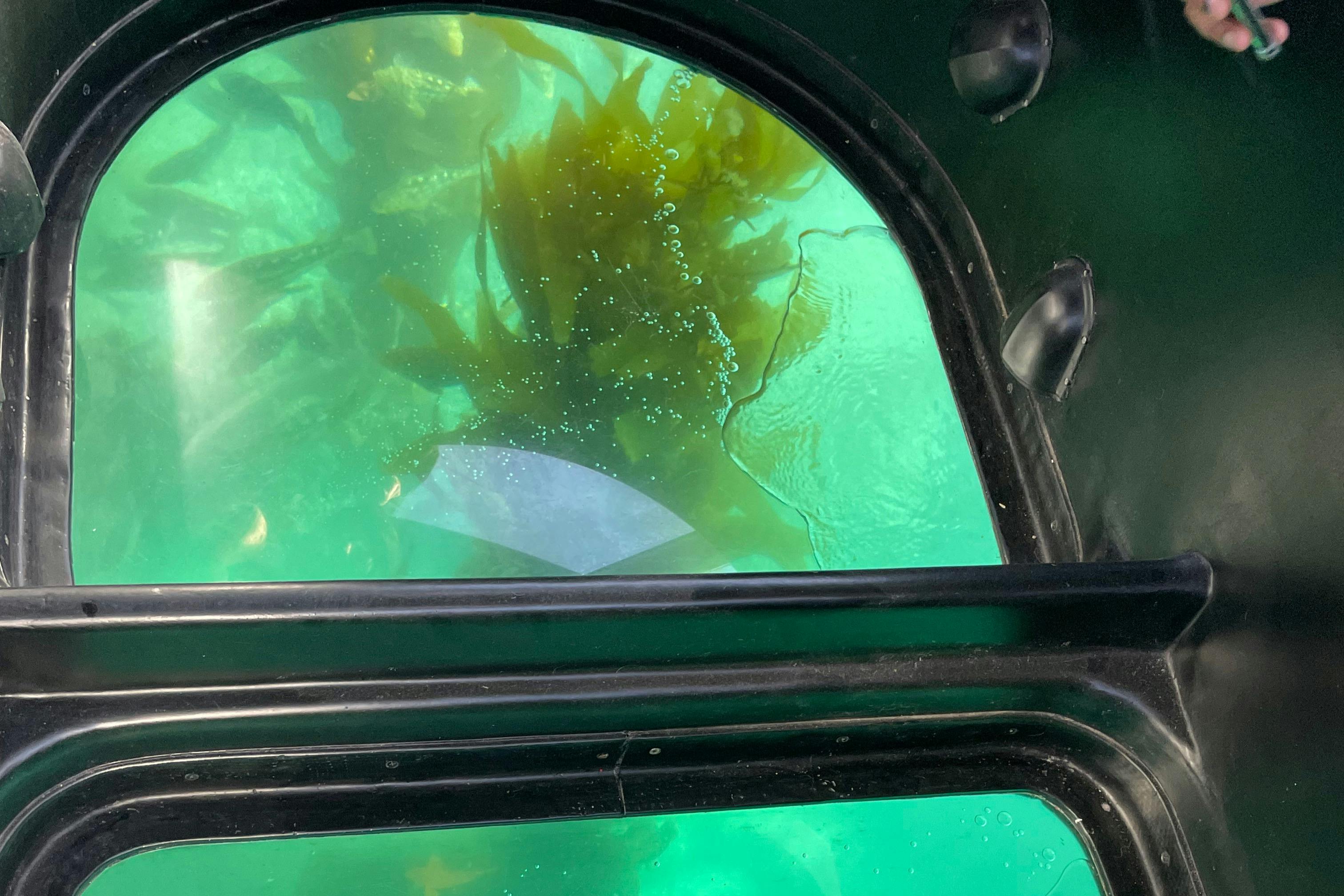 Long Beach Harbor Glass Bottom Boat EcoTour Tiqets