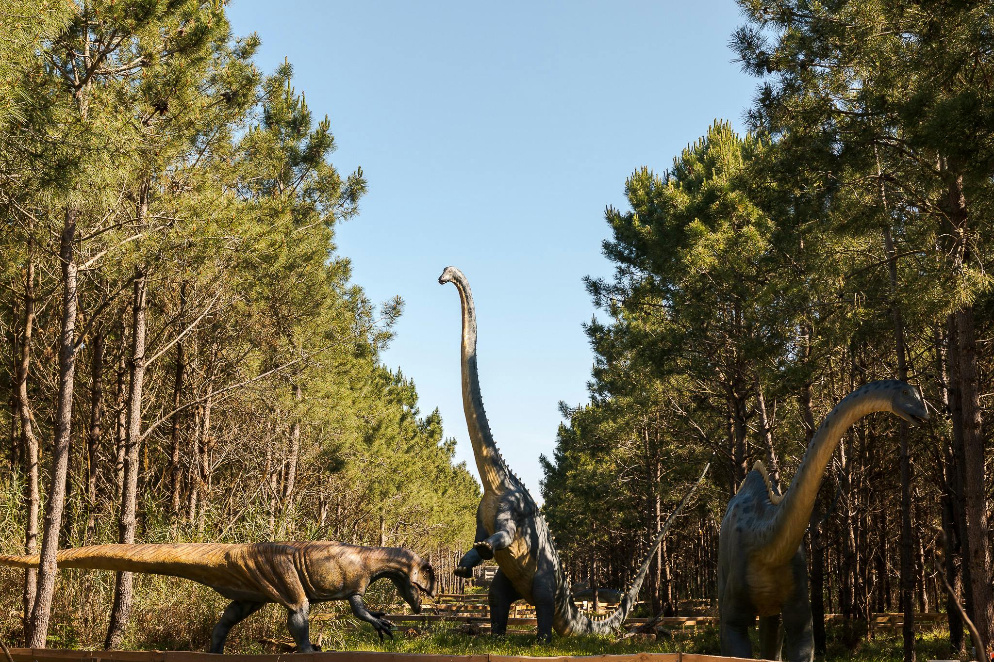 Les sculptures de dinosaures sont exposées parmi de grands arbres sous un ciel clair. Les figures comprennent des dinosaures à long cou et des dinosaures herbivores.