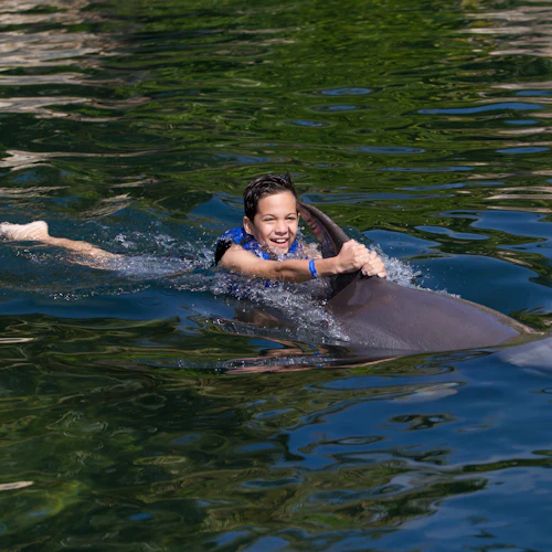 Delphinus Xcaret: Entry Ticket + Transfers + Swim with Dolphins - Photo 4