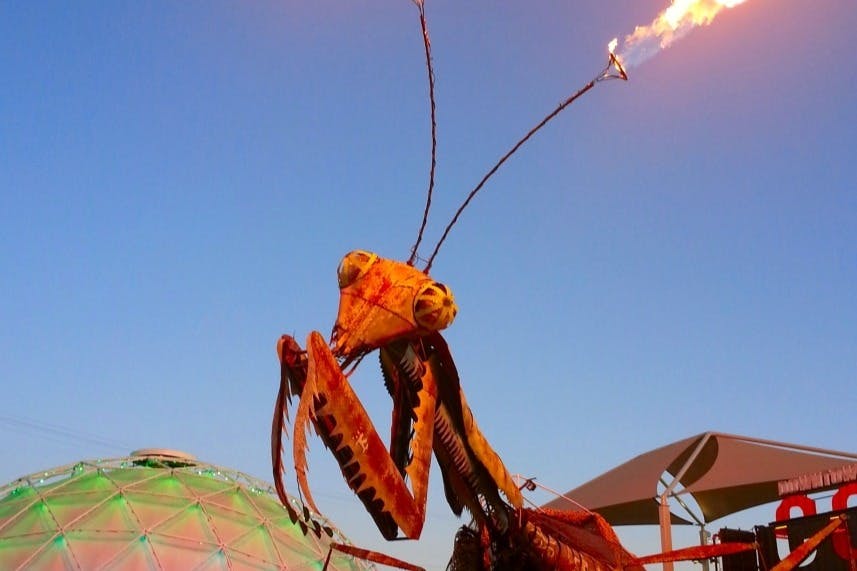 Freemont Street After Dark - The Glitter Gulch