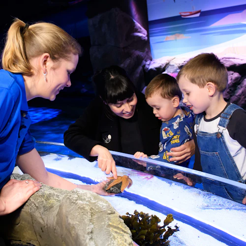 SEA LIFE London: Entry Ticket - Photo 14