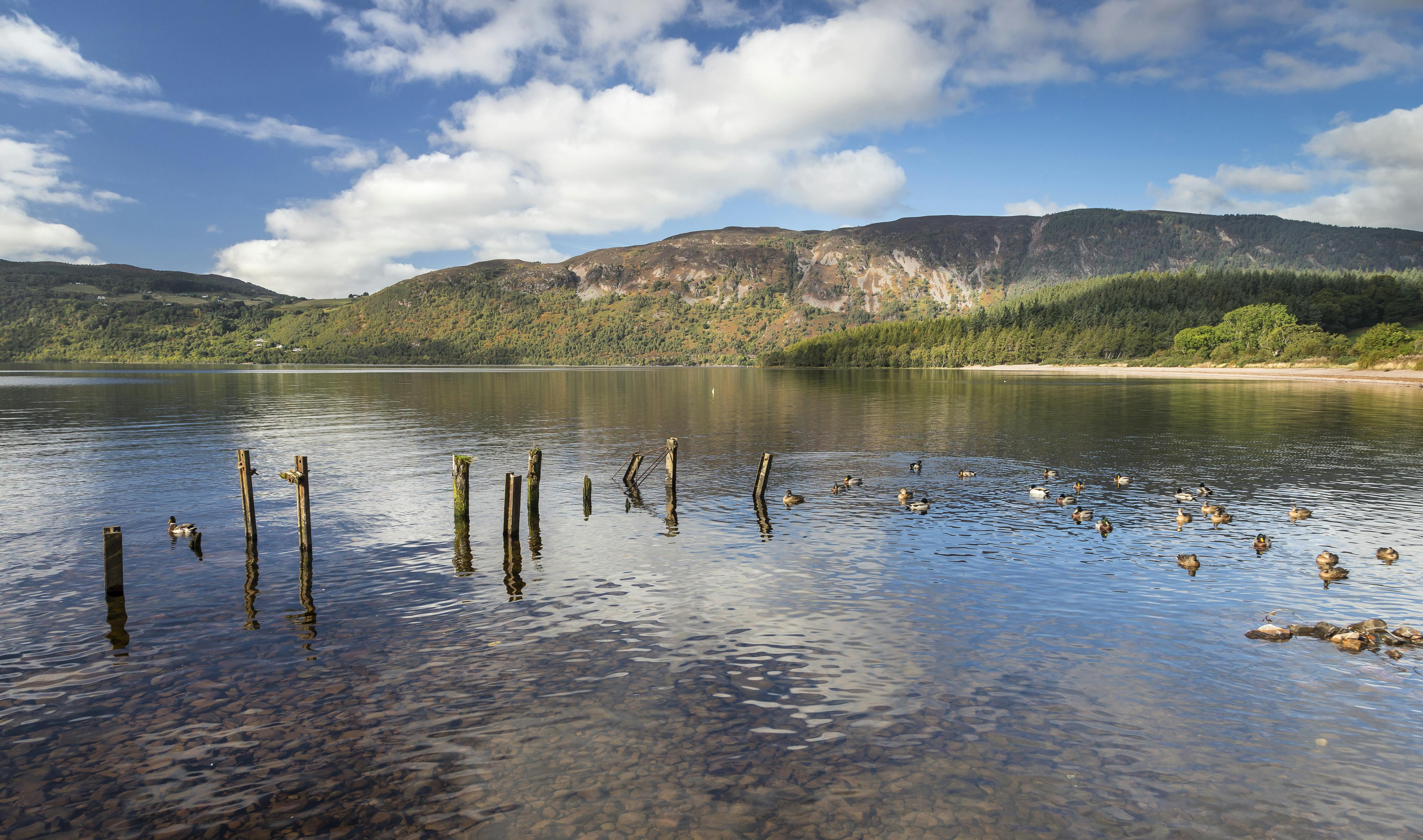 Ήρεμη λίμνη με ξύλινους πασσάλους, πάπιες, μακρινούς λόφους και έναν εν μέρει συννεφιασμένο ουρανό.