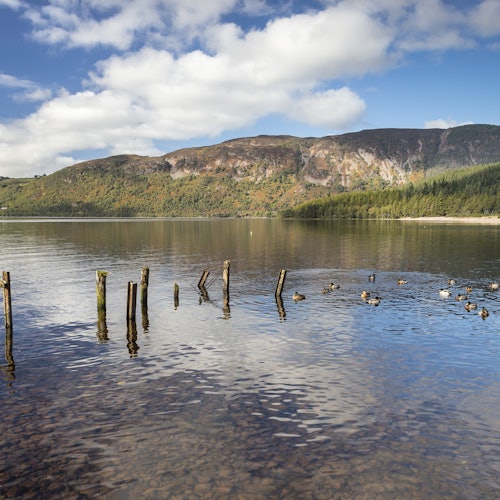The Complete Loch Ness Experience: Day Tour from Inverness
