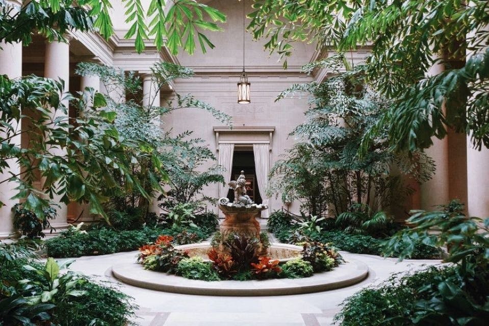 Εσωτερικό αίθριο με ένα κεντρικό σιντριβάνι που περιβάλλεται από πλούσια, πράσινα φυτά και πολύχρωμα λουλούδια, κάτω από ένα κρεμαστό φως.