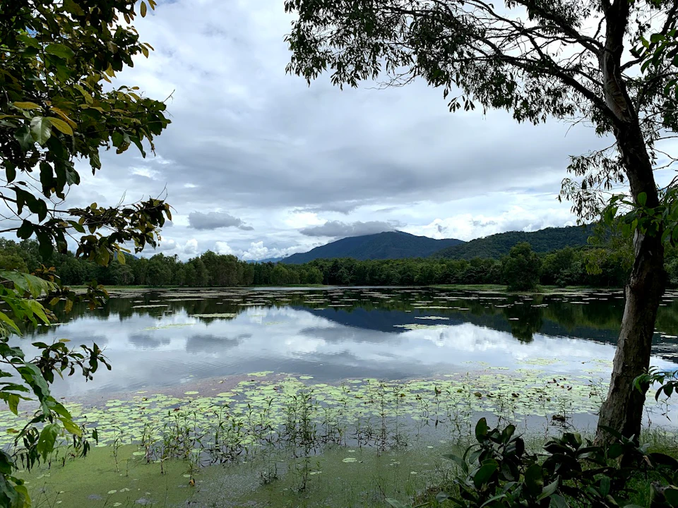 A serene lake with lily pads in the foreground, surrounded by trees, and a mountain range under a cloudy sky in the background.