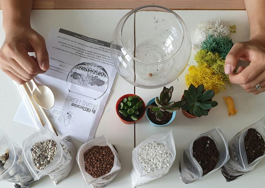 A table with terrarium supplies, including a glass bowl, succulents, moss, and bags of various types of soil and gravel.